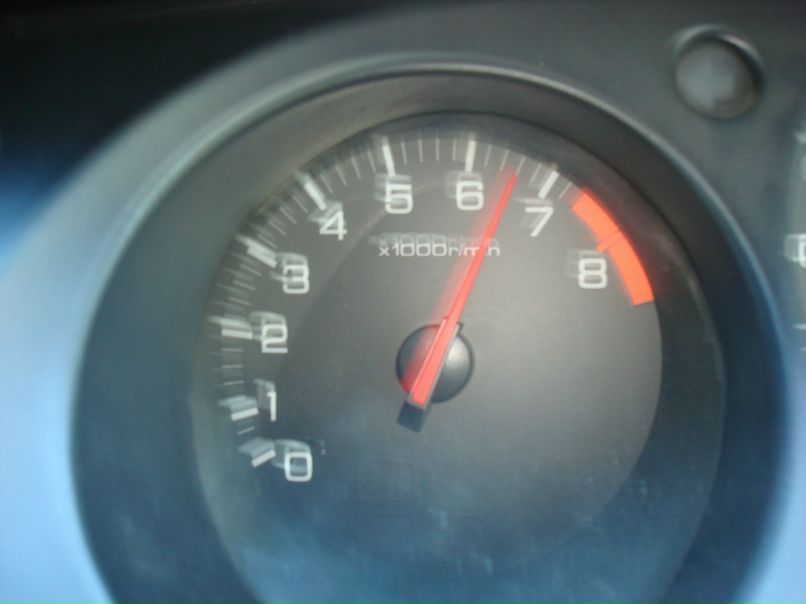 Денис Брылев | Новосибирск