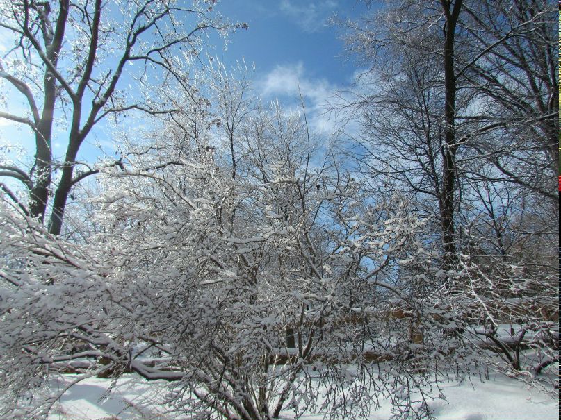 Леся Кононенко | Montréal