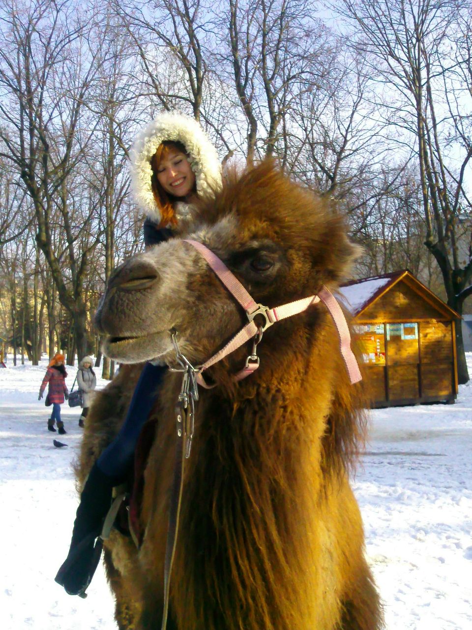 Ольга Постельга | Харьков