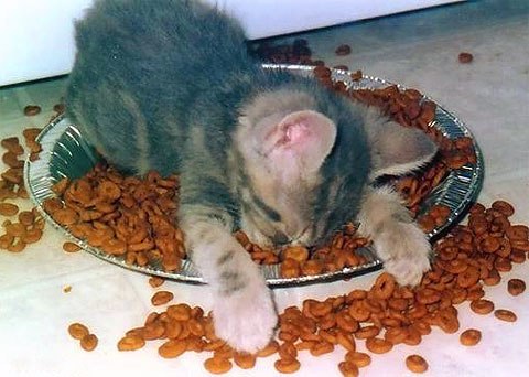 Исиркаса Верховенко | Харьков