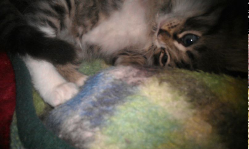 Эдуард Бердюгин | Мурманск