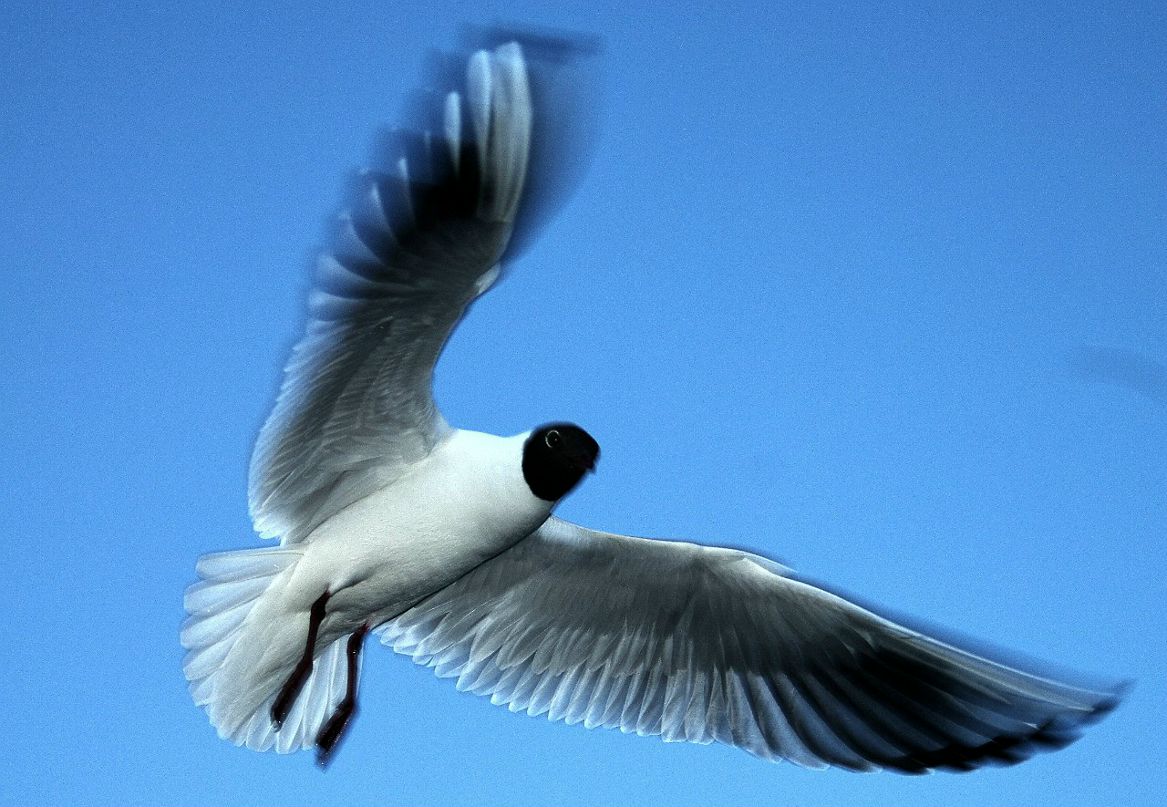 Андрей Лёвушкин | Санкт-Петербург