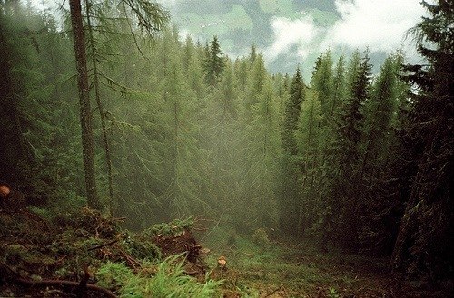 Никита Бухтояров | 