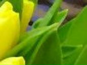 Кристина Фатьянова *Розкажи,мені на картах,де ти є* | Одесса