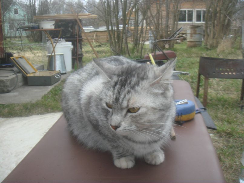 Катя Иванова Тюха | Санкт-Петербург