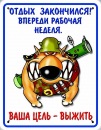 Фотография Юрий Данилов