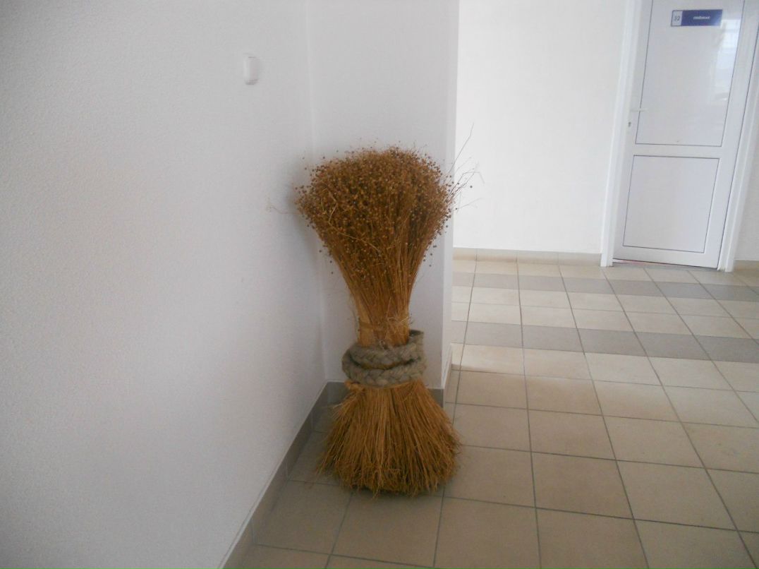 Таня Гранковская Царь- | Новоельня