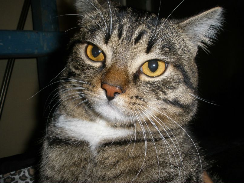 Ольга Младших | Красноярск