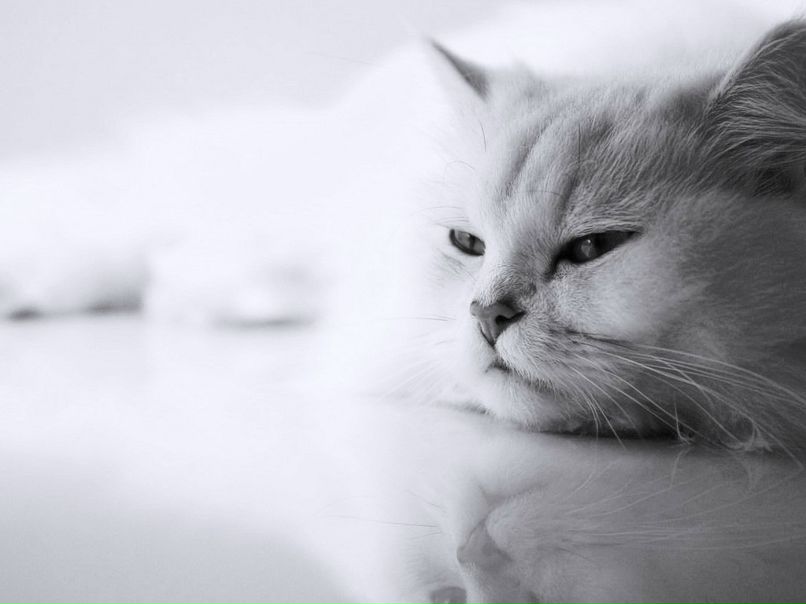 Ольга Баздарева ☜♡☞ | Орёл