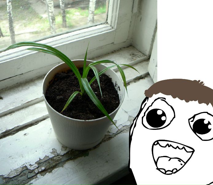 №41, Андрей Воробьев, Новосибирск №41, Андрей Воробьев, Новосибирск