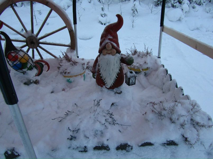 Алексей Алтухов | Воронеж
