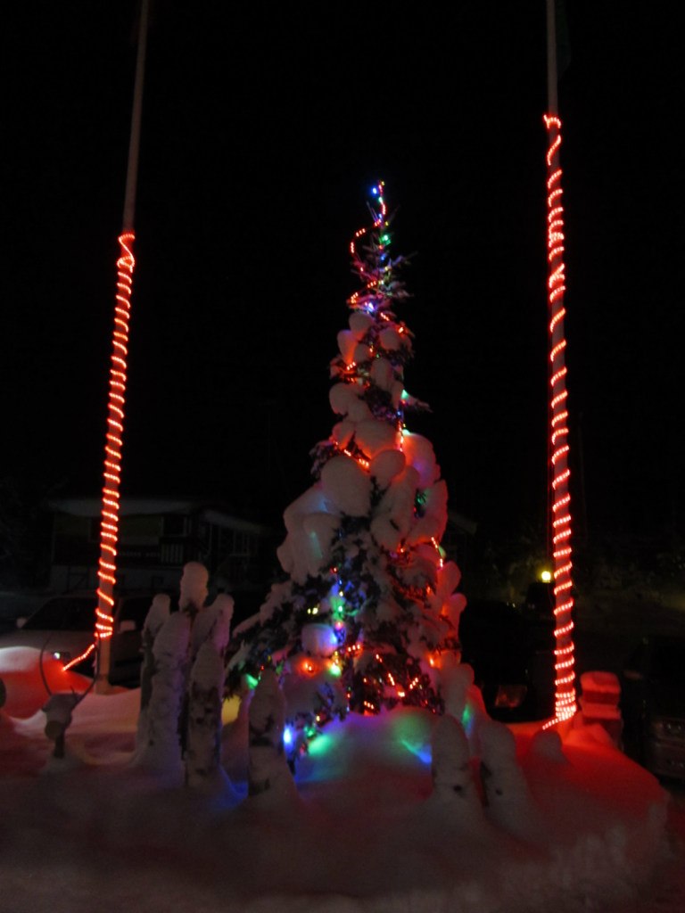 Алексей Алтухов | Воронеж