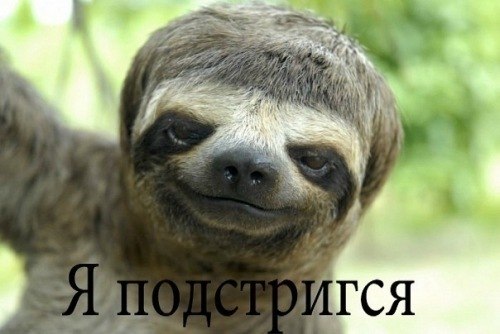 Юлия Иванова | 