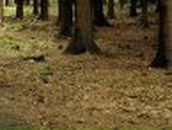 Евгений Барыкин | Нижний Новгород