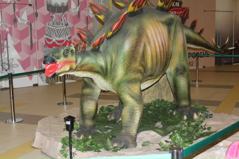 Алёна Самойлова | Москва