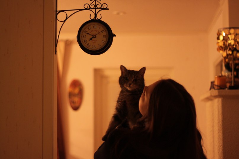 Полина Лукко | Петрозаводск