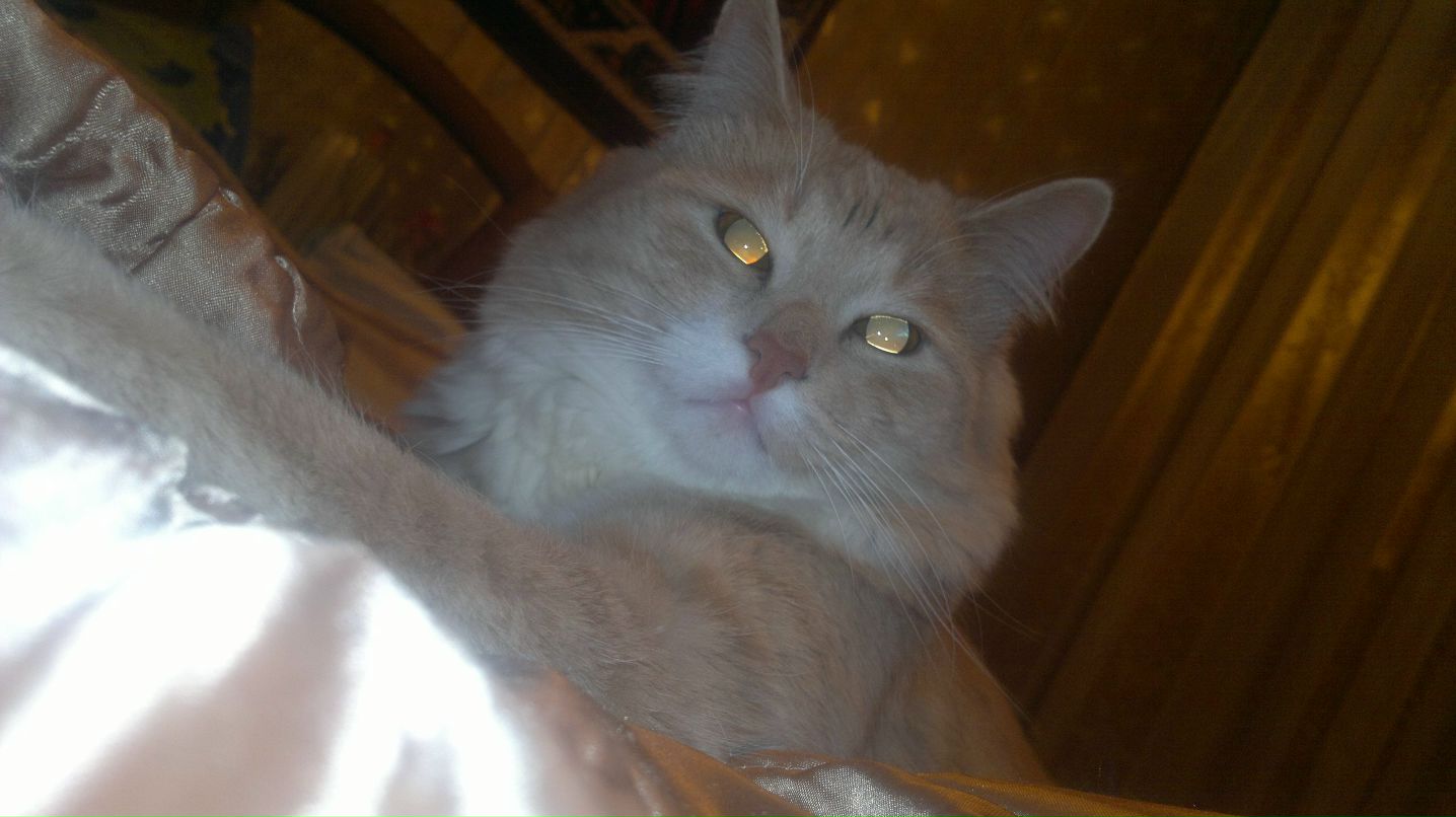 Дмитрий Хохлов | Щекино