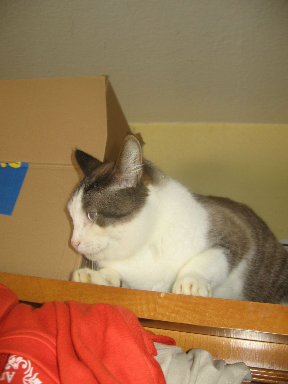 Митенька Бавельский | Karlsruhe