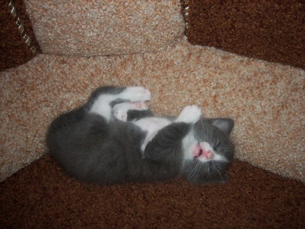 №92, Наталья Свиридова №92, Наталья Свиридова