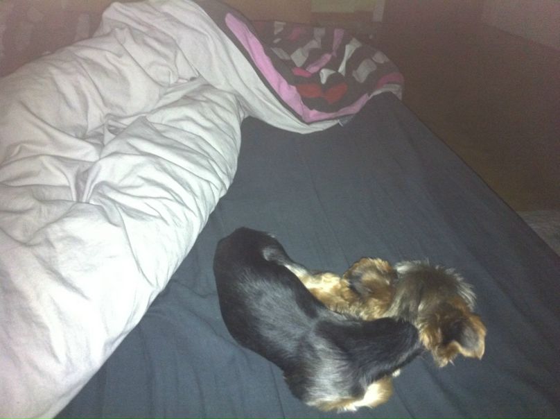 №126, Ася Тумасян, Москва №126, Ася Тумасян, Москва