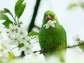 Галина Ковалюк | Горняк