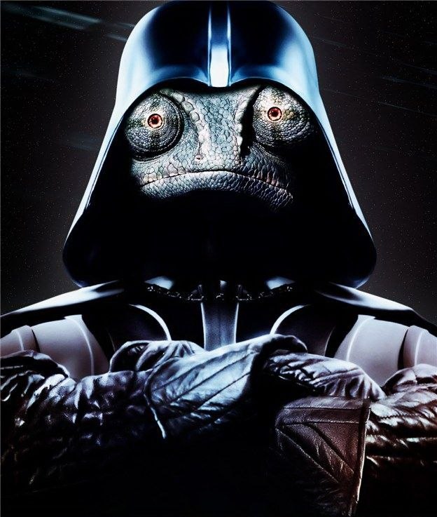 Руслан Абдулин [|̳̿В̳̿| ʞин иʎх ɐн] | Москва