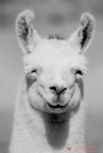 №63, Кристина Покровская, 34 года, Москва №63, Кристина Покровская, 34 года, Москва