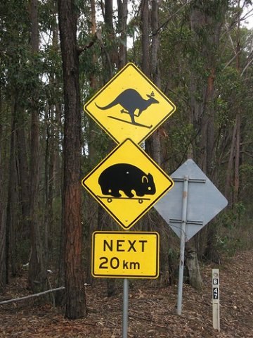 Bets Mcgee Горобец | Кривой Рог