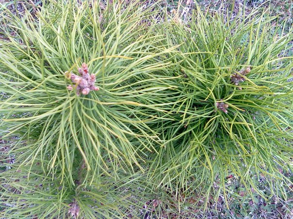 №139, Илья Володиков, 39 лет, Киев №139, Илья Володиков, 39 лет, Киев