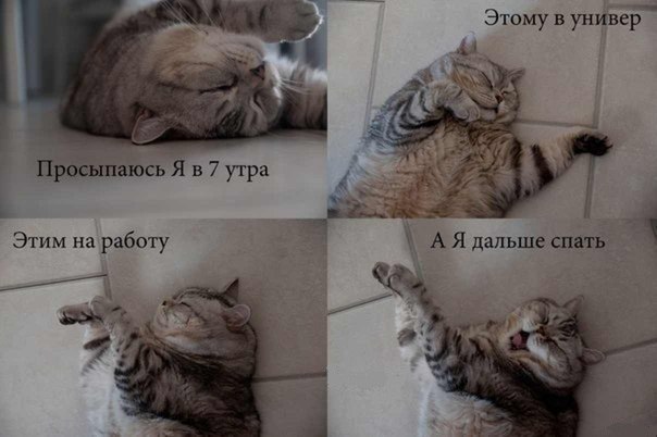 Белый Котъ | 