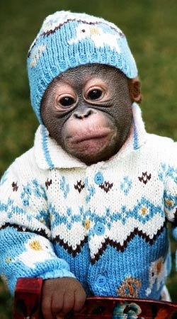 Александр Иванов | Toronto