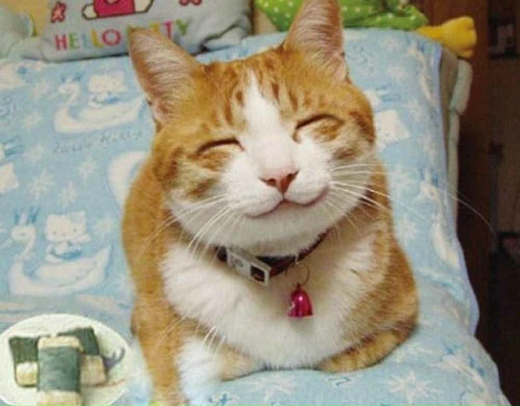 Александр Тельпух Олегович | Санкт-Петербург