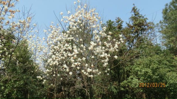 №88, Сергій Стасюк, 41 год, Ровно №88, Сергій Стасюк, 41 год, Ровно