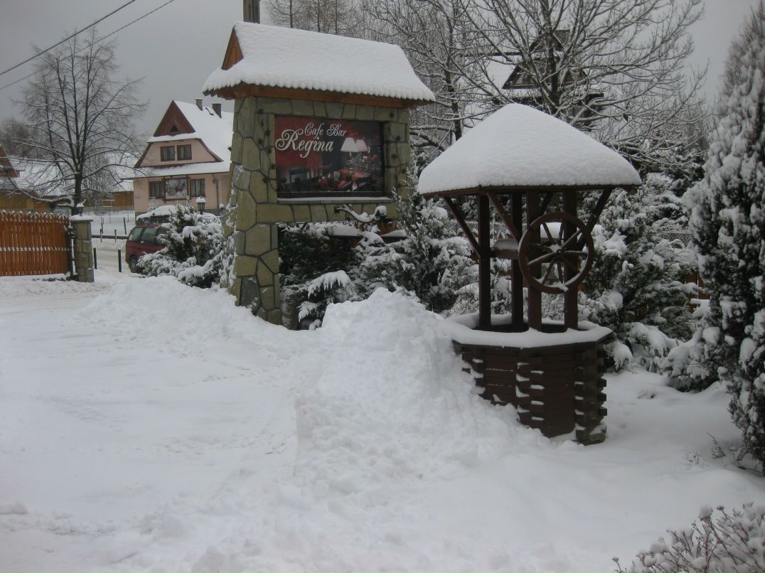 Дмитрий Котин | Киев