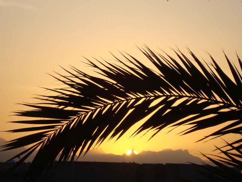 Татьяна Сулягина | Туапсе