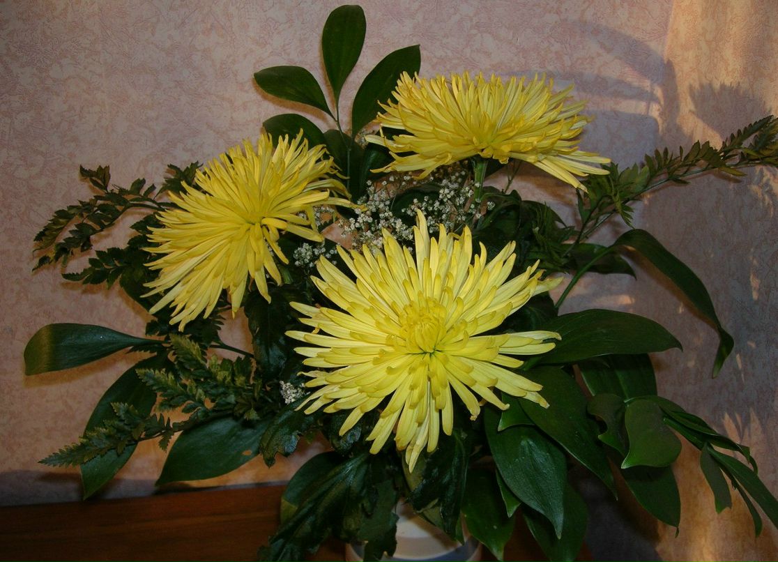 Ольга Пика | Санкт-Петербург