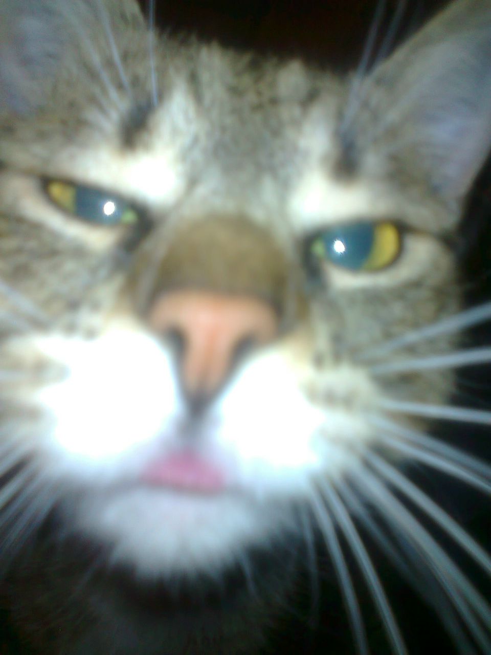 Екатерина Пустовойтова | 