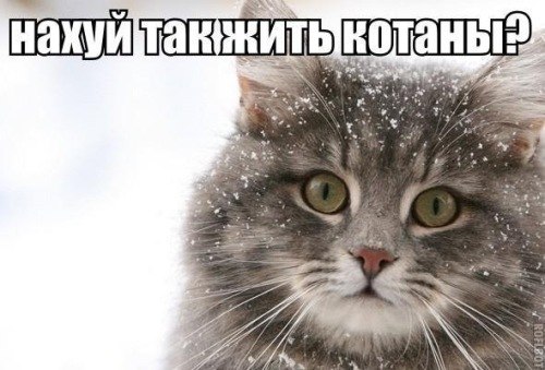 Иван Хум ૐ ОМ НАМАХ ШИВАЯ ૐ | Kingston