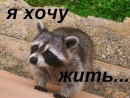 Иван Салтыков, , 24.06