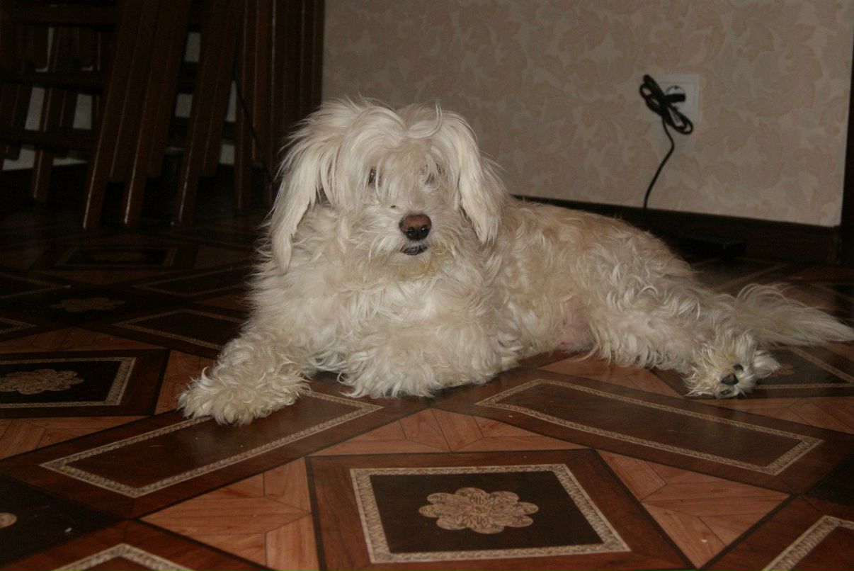 Евгения Рожкова | Самара