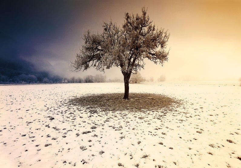 Катя Екатеринославская | 