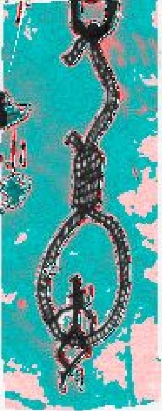 Колян Зарянкин | 