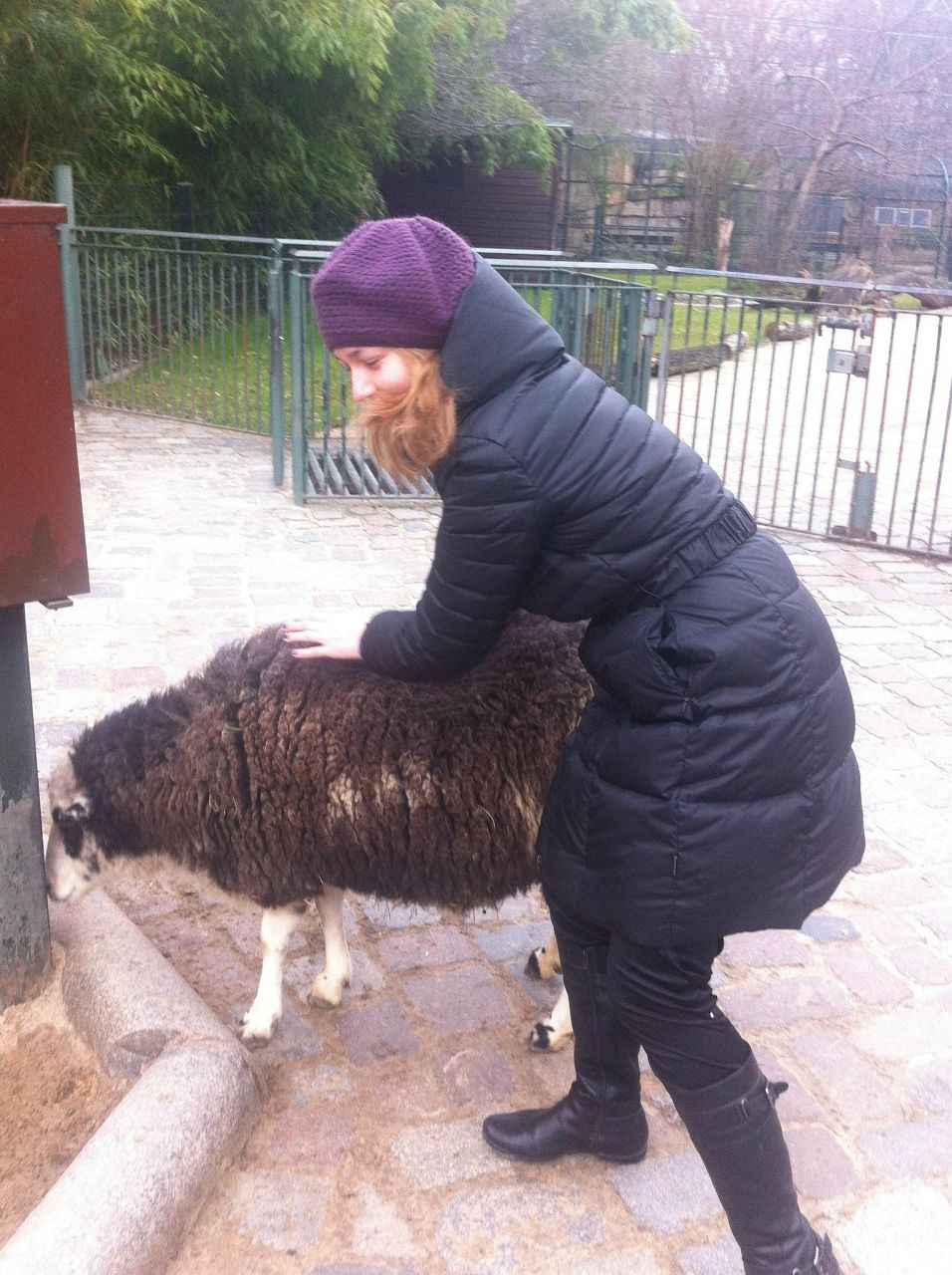 Дария Волынская | 