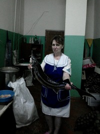 Елена Швецова
