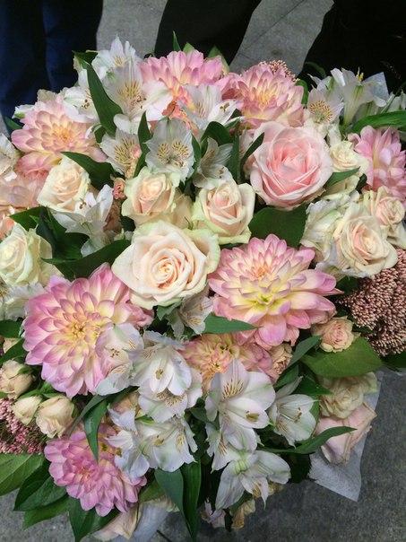 Zolushka Jouns, Россия, Екатеринбург