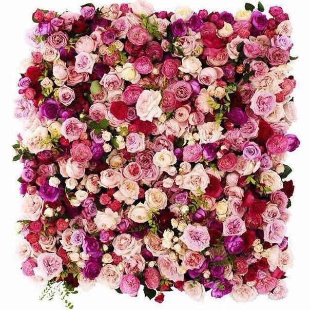 Дарья Кирда, Россия, Новочеркасск