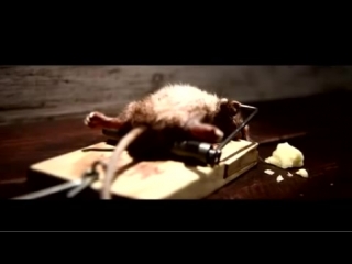 Nolan's cheddar cheese porn video on BrownPorn