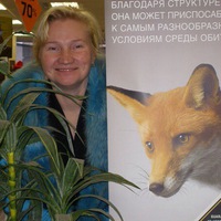Людмила Макарова