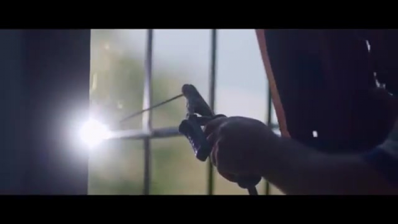 Трейлер Мустанг