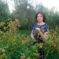 Юлия Богданова